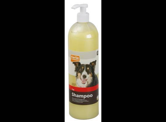 Producto Egg Shampoo