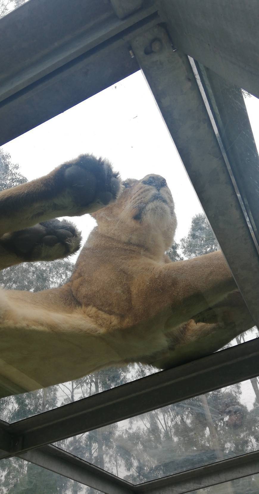 Place ZOO Santo Inácio