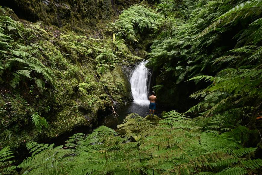 Place Levada do Rei - Ribeiro Bonito