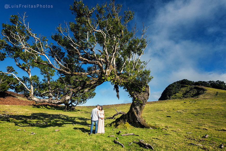 Lugar Fanal - Madeira 