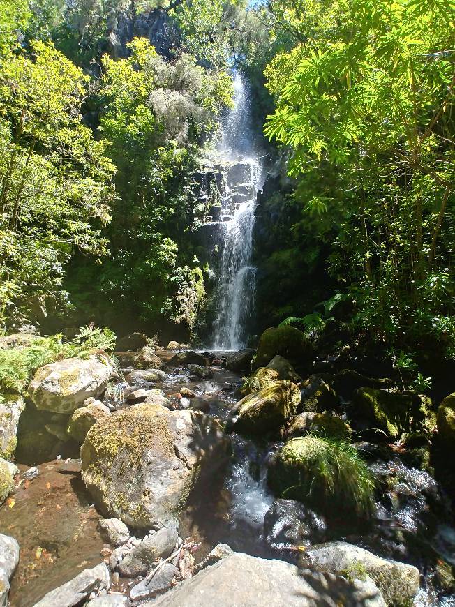 Lugar PR14 Levada dos Cedros