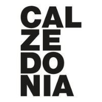 Lugar Calzedonia