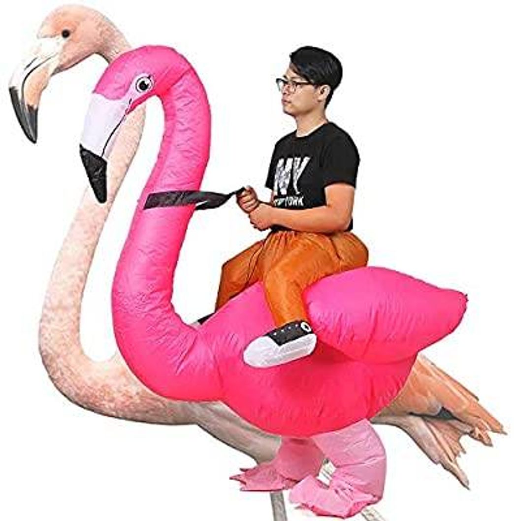 Moda Flamingo