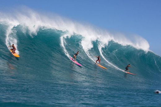 Waimea Surf & Culture