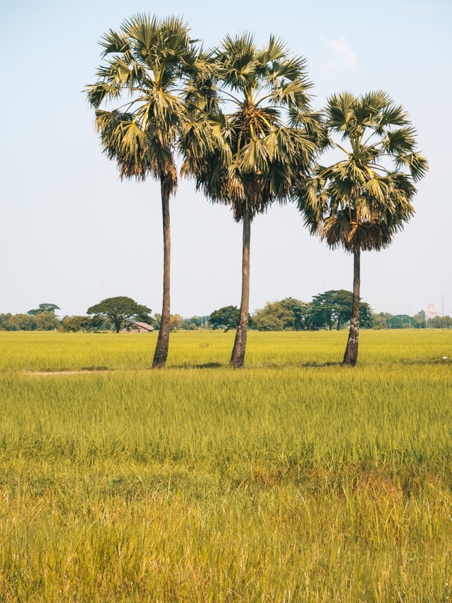 Lugar Uncharted Horizons Myanmar