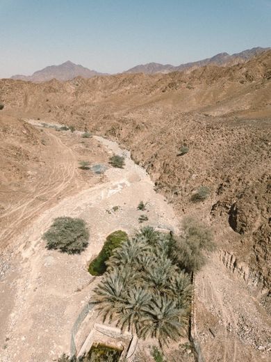Wadi Shawka