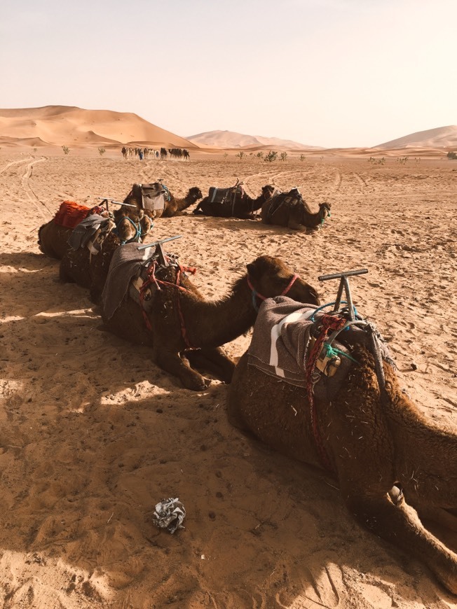 auberge la caravane Merzouga