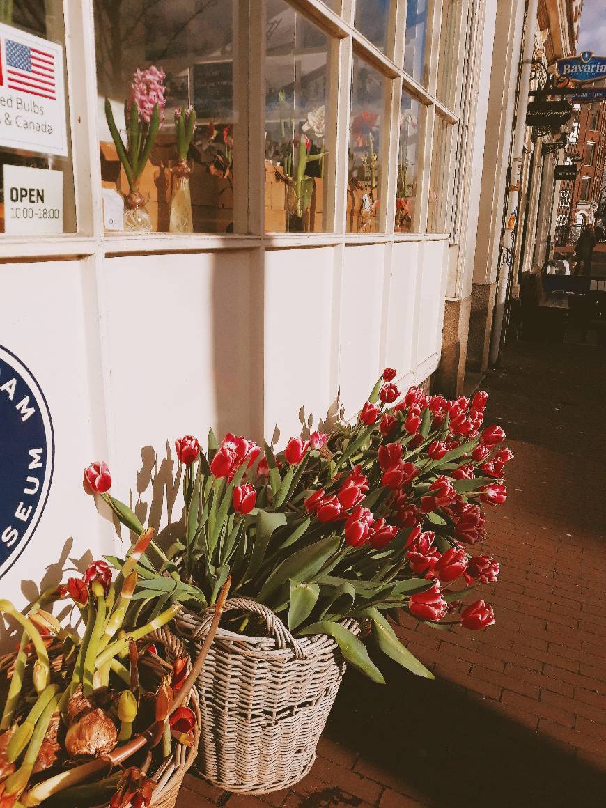 Place Bloemenmarkt