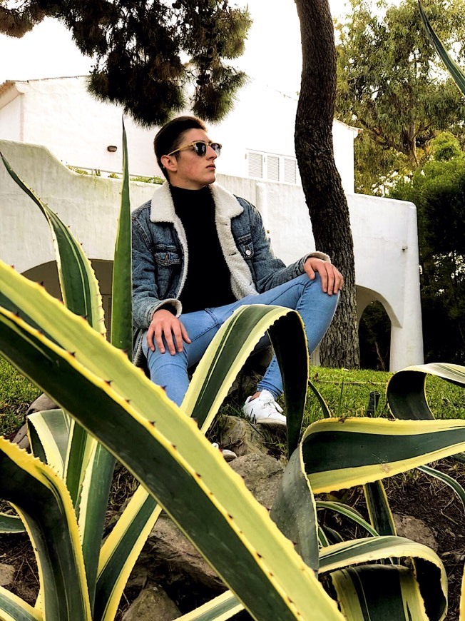 Social Meu Instagram 