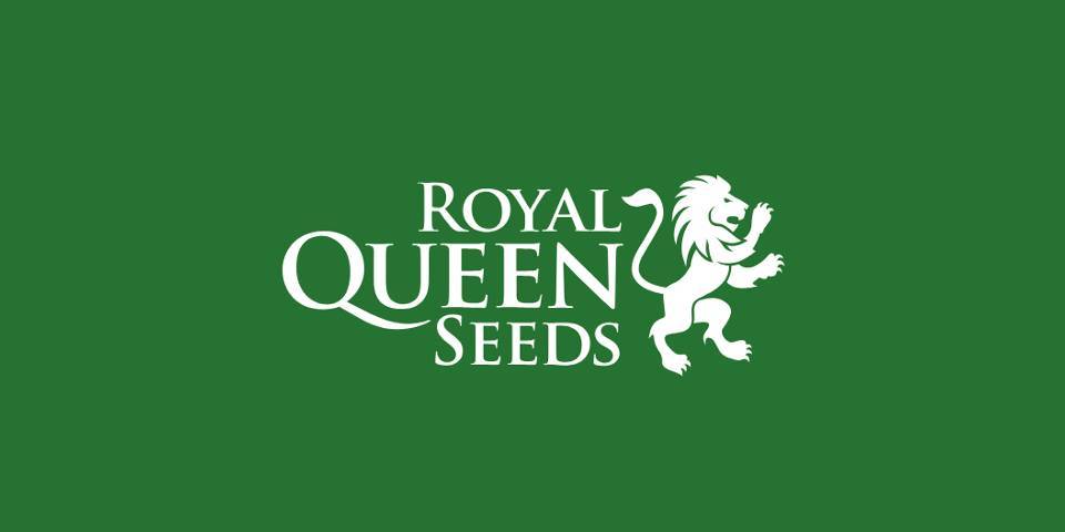 Place Royal Queen Seeds Store