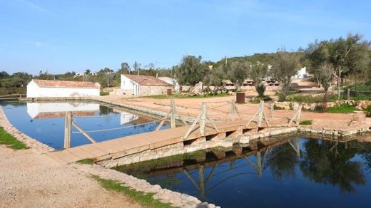 Lugar Parque Municipal do Sítio das Fontes