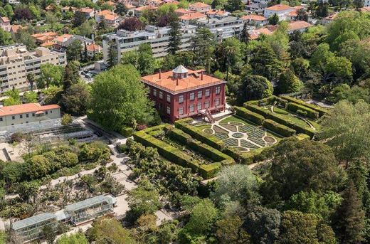 Jardín Botánico de la Universidad de Oporto