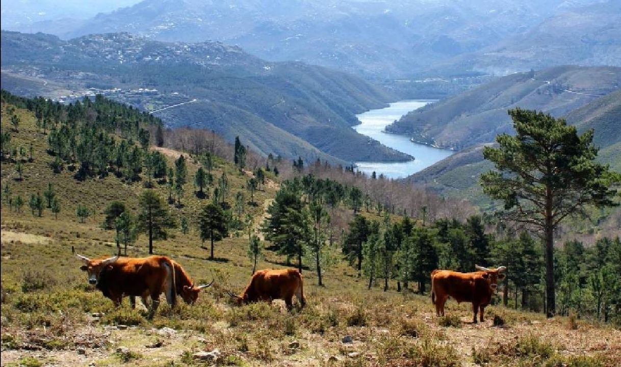 Lugar Peneda-Gerês National Park