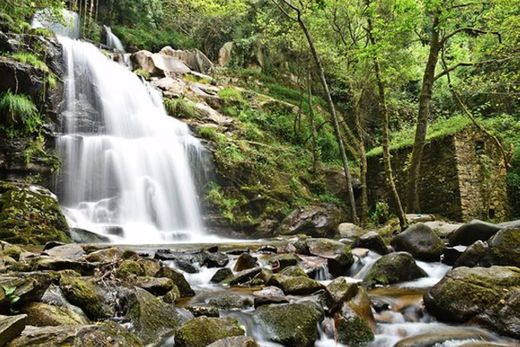 Parque da Cabreia