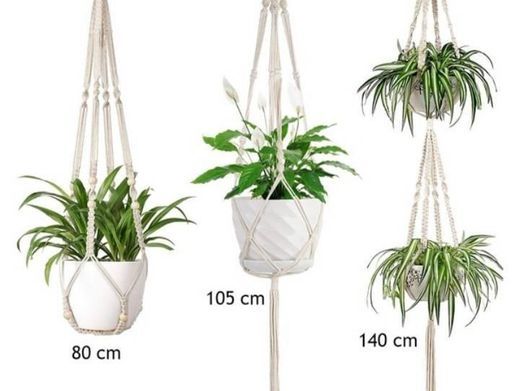 Moda Cestas para jardim