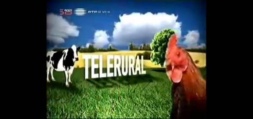Telerural - Curral Social - Praça Alegria - YouTube