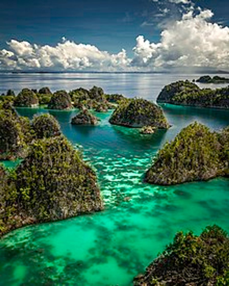 Lugar Indonesia