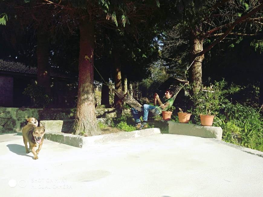 Paredes de Coura