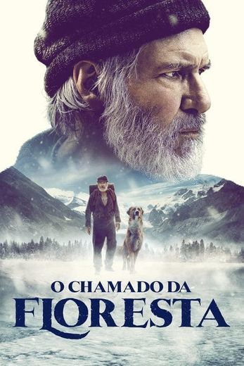 Película La llamada de lo salvaje