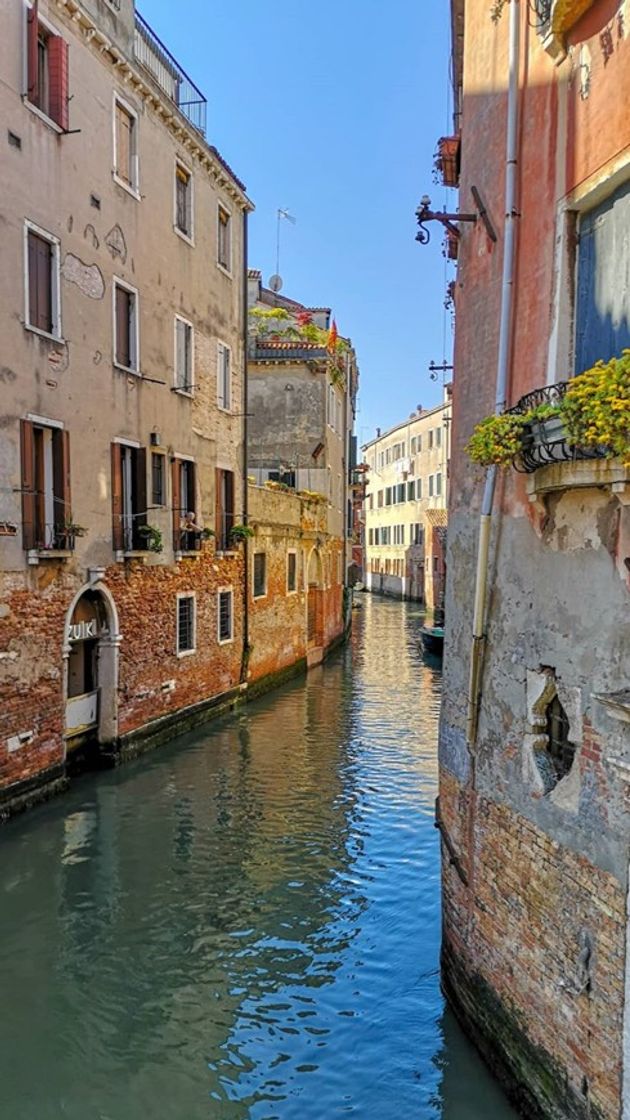 Place Venecia