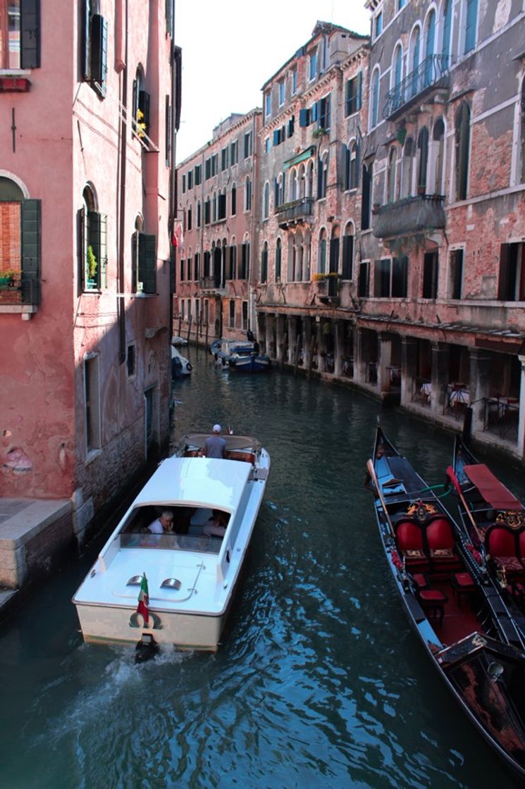 Place Venecia