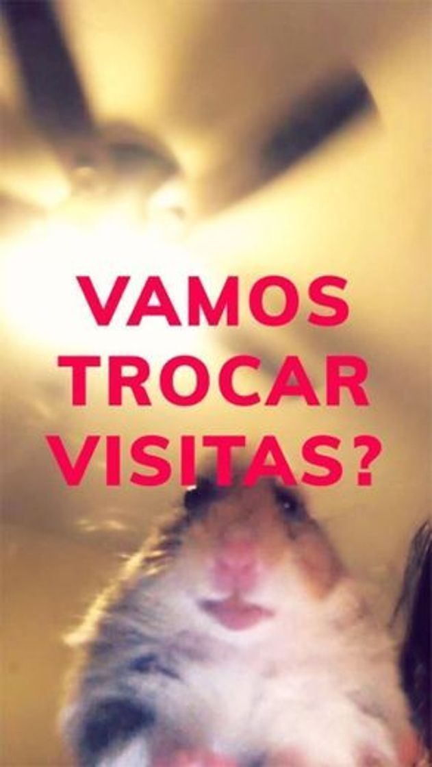 Social Quer visitas nas suas coleções? 
