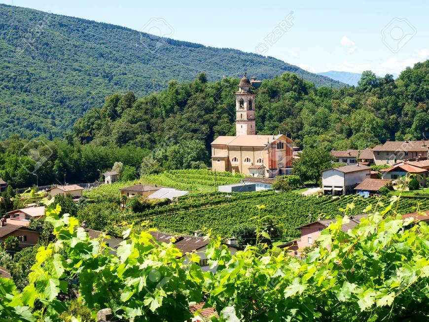 Place Sessa
