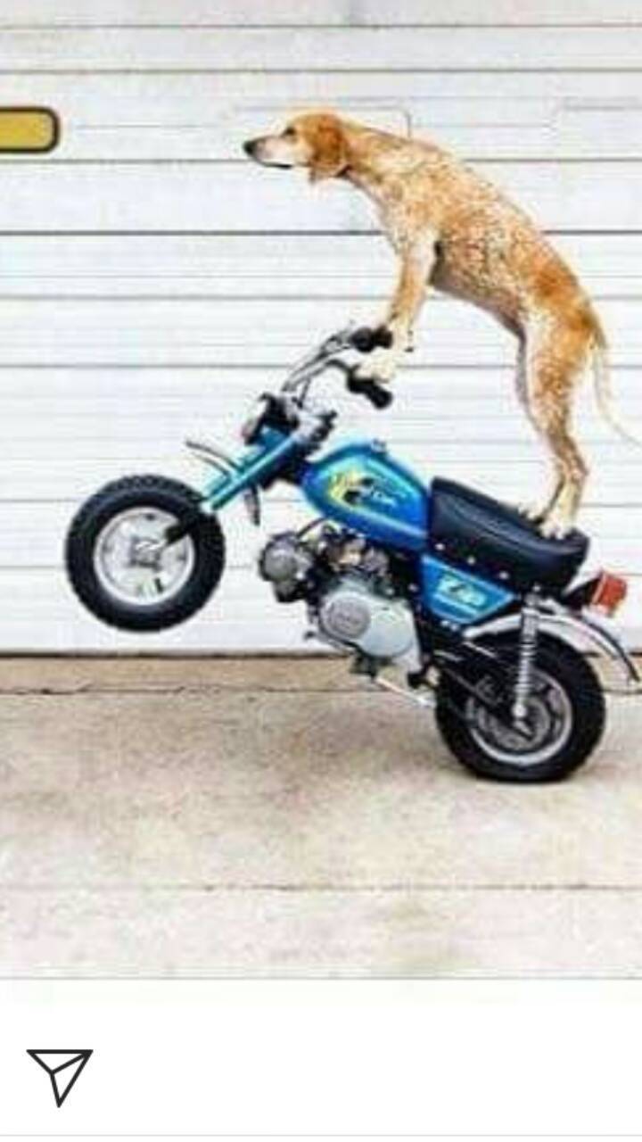 Social Let's ride !
