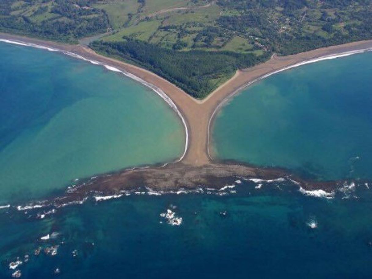 Lugar Parque Nacional Marino Ballena