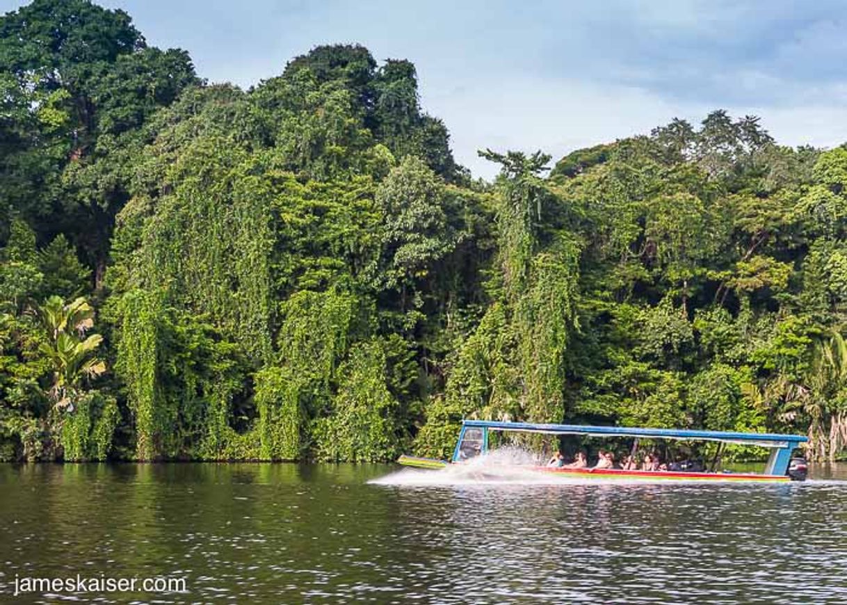 Lugar Tortuguero National Park