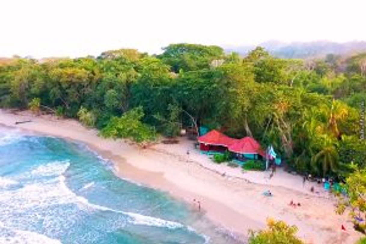 Lugar Parque nacional Cahuita