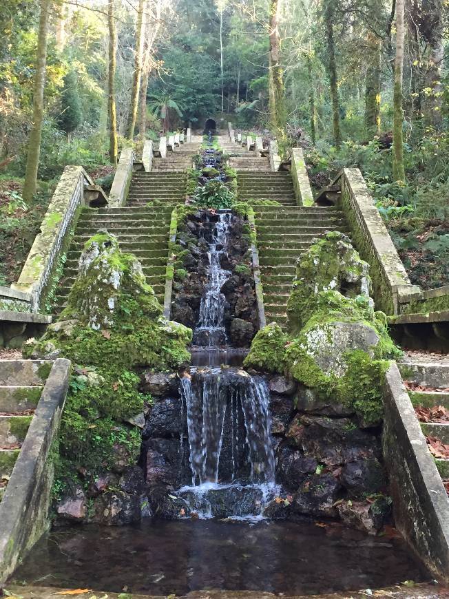 Lugar Mata Nacional do Buçaco