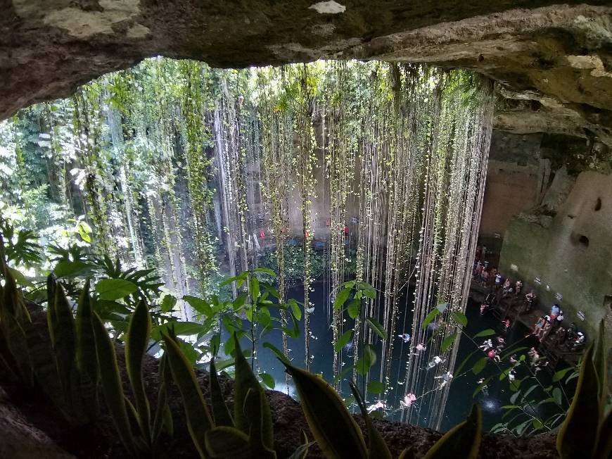 Place Cenote Ik-Kil