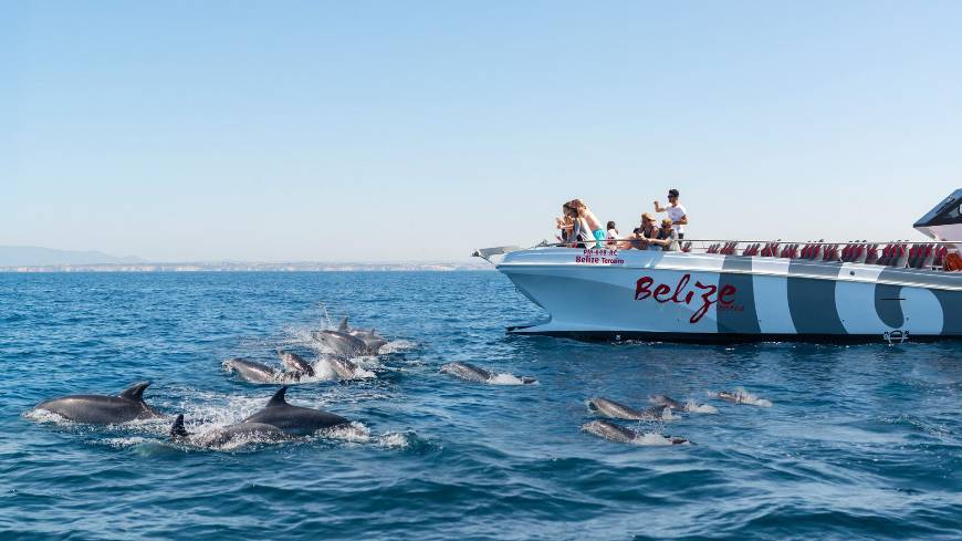 Lugar Golfinhos e barbecue / Dolphins and barbecue 🐬