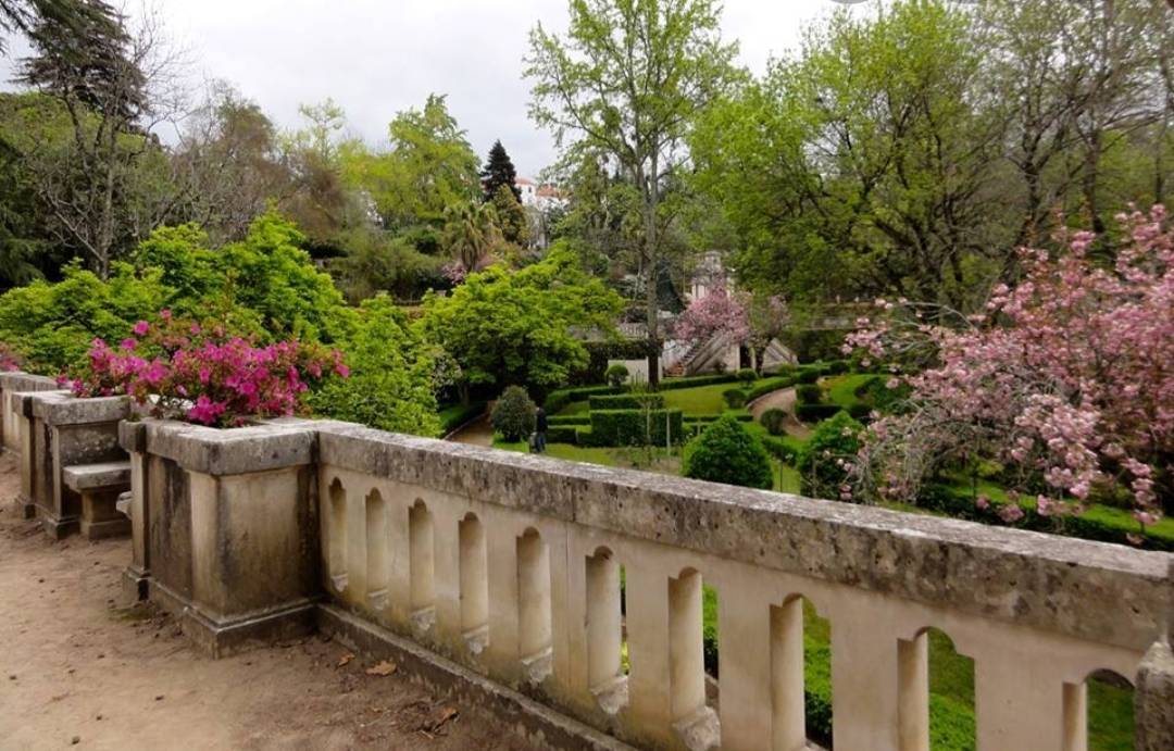 Place Jardim Botânico da Universidade de Coimbra