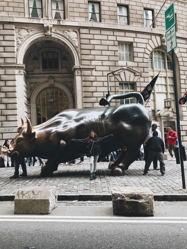 Place Toro de Wall Street