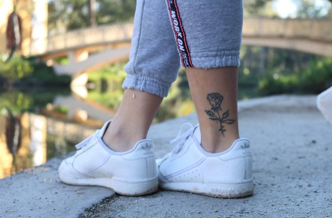 Rosa 🌹 