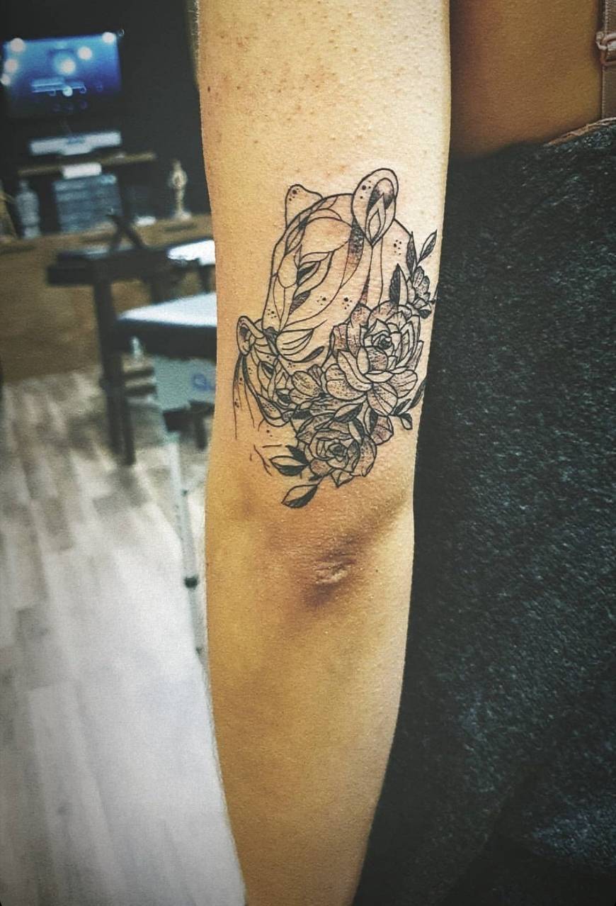 🦁 