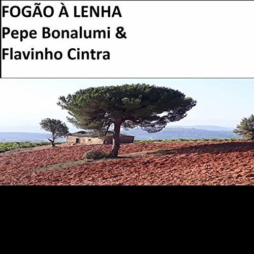 Electrónica Fogão à Lenha