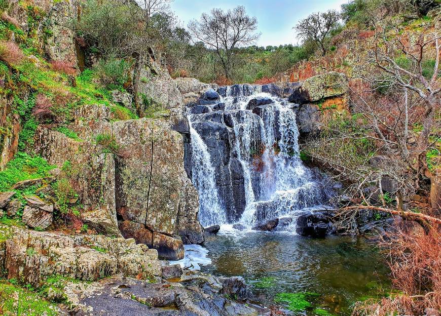 Lugar Cascata de São Martinho