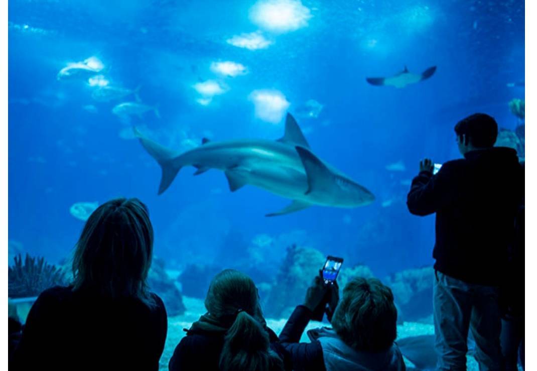 Lugar Oceanário de Lisboa