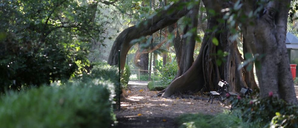 Place Jardín Botánico de la Universidad de Lisboa