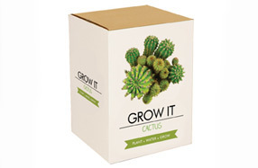 Social Kit de cultivo de cactus | Regalador.com