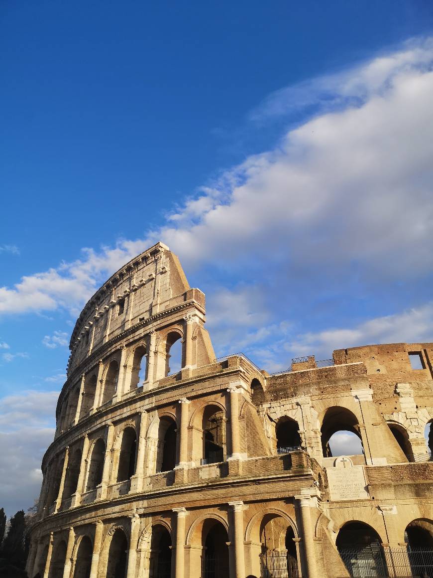 Place Coliseo de Roma