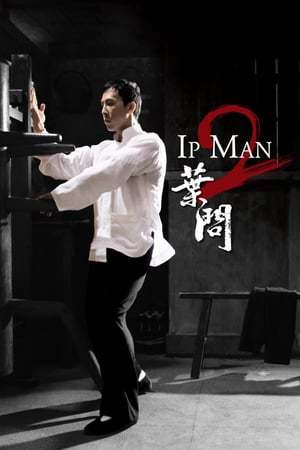 Película Ip Man 2