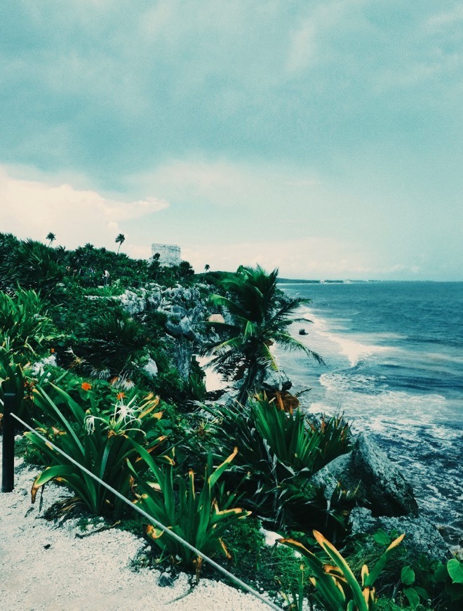 Place Riviera Maya
