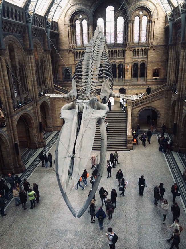 Natural History Museum