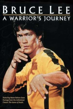 Movie Bruce Lee: A Warrior's Journey