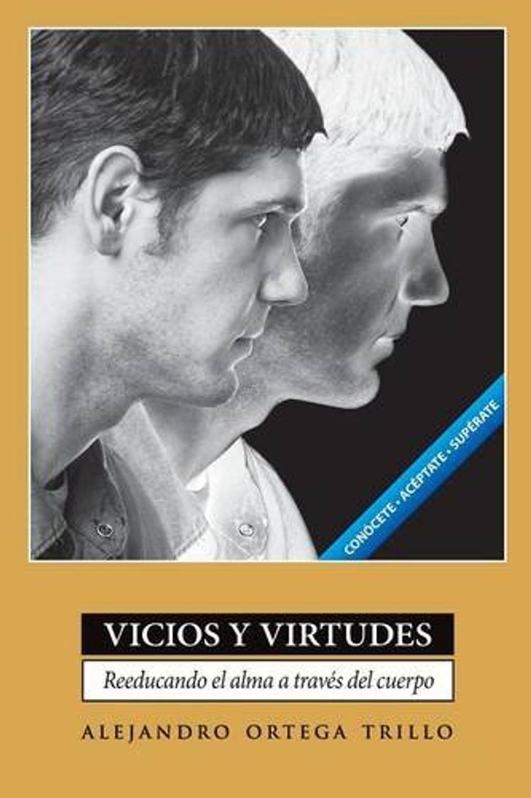 Libros Vicios y Virtudes: Reeducando el Alma A Traves del Cuerpo