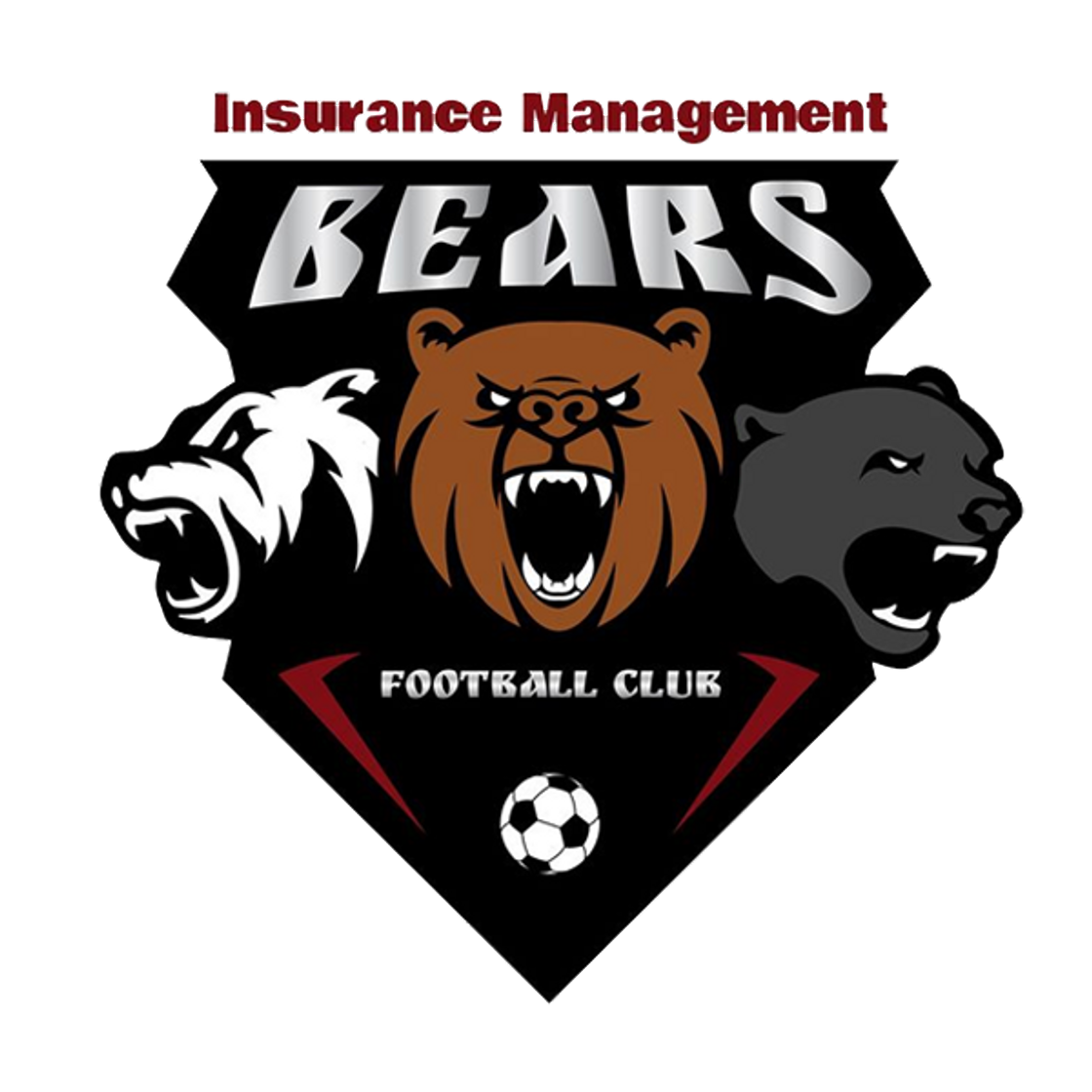 Moda Bears Football Club